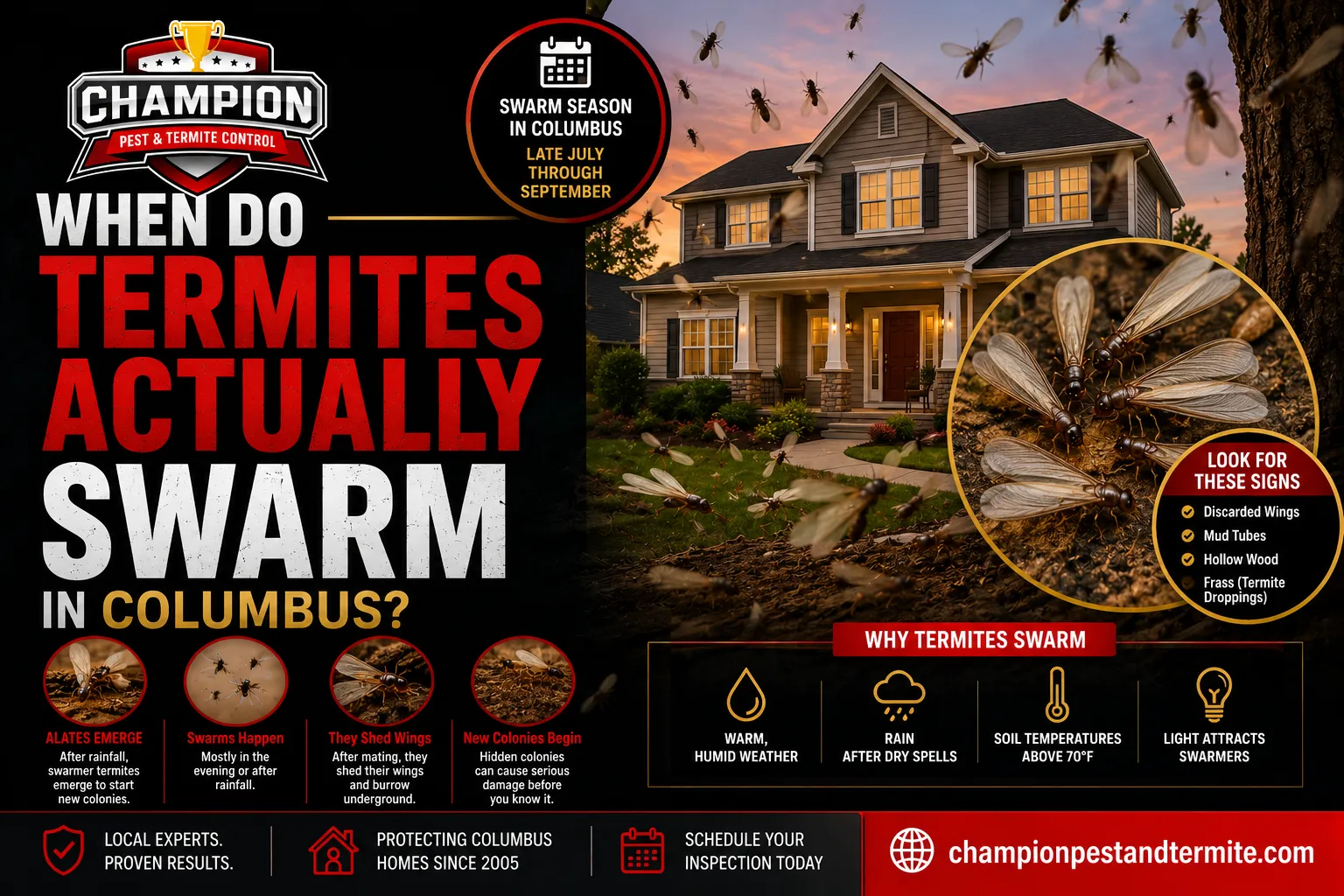 Is August the Best Time for a Termite Inspection in Columbus?