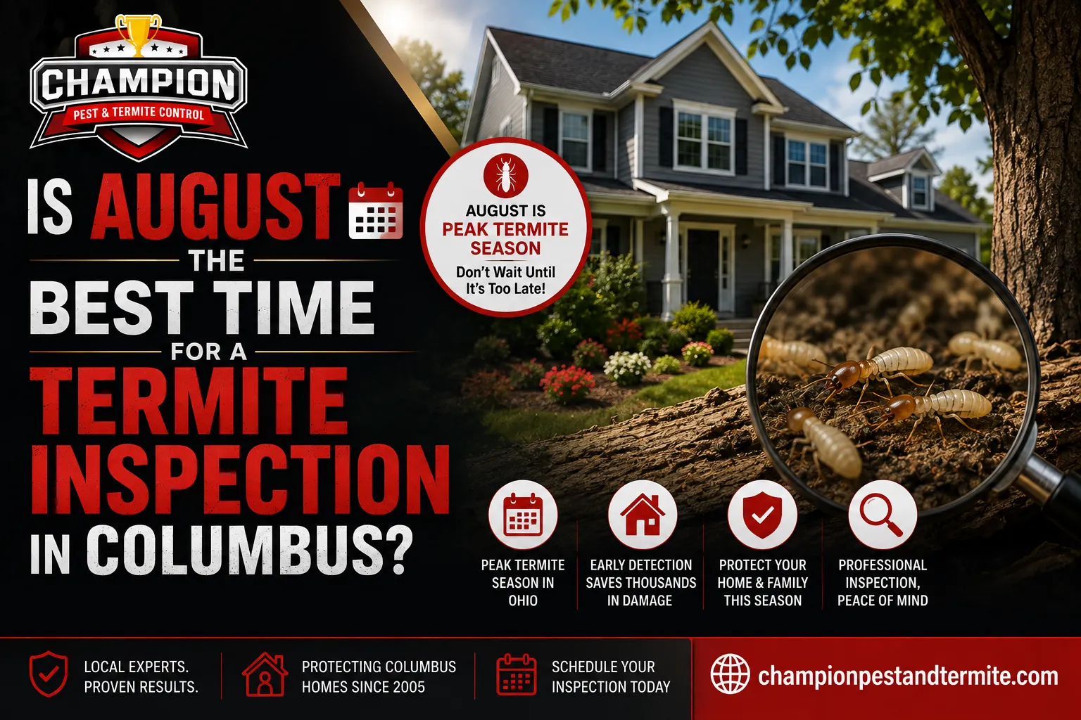 Is August the Best Time for a Termite Inspection in Columbus?