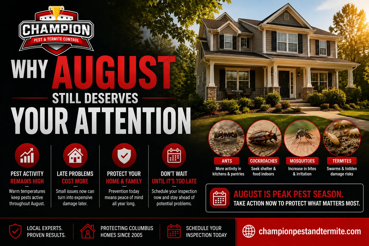 Is August the Best Time for a Termite Inspection in Columbus?