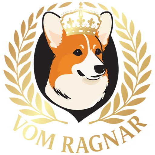 Corgi Dogs for Sale in Illinois: A Practical Guide for Choosing the Right Puppy