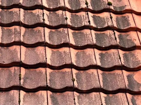 Expert Roof Cleaning Solutions for Residential Properties