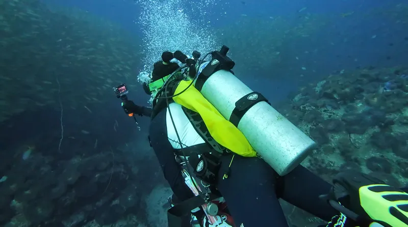 Public Safety Diving