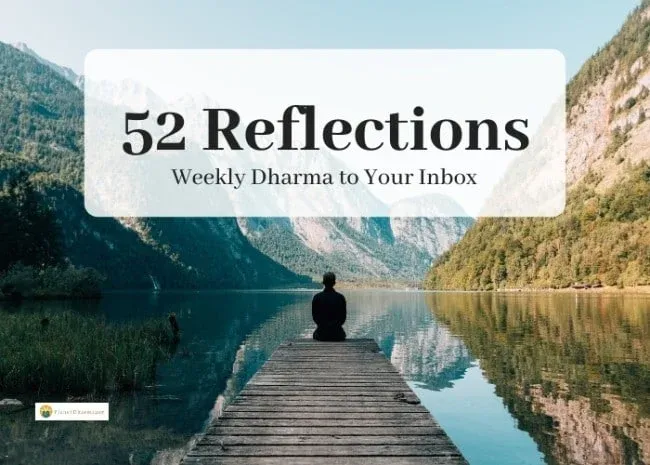 What Can Weekly Dharma Reflections Actually Change in You?