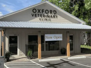 How Regular Wellness Exams Help Your Pet Live a Longer, Healthier Life