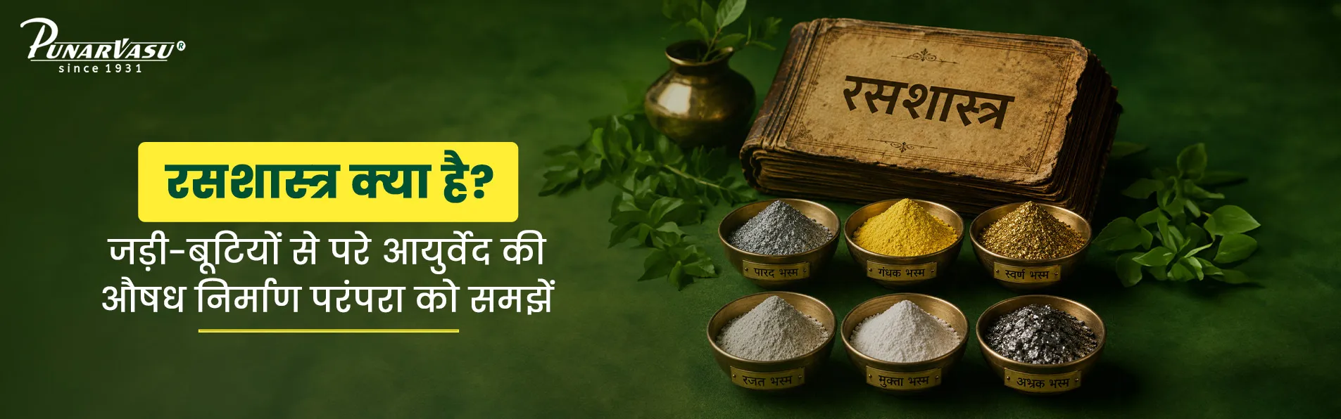 Beyond Herbs: Exploring the Ancient Science of Rasashastra