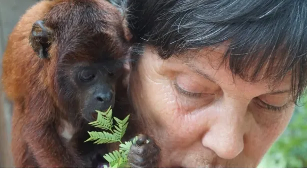 Thinking About Animal Volunteering Abroad? Here’s What You Should Know First