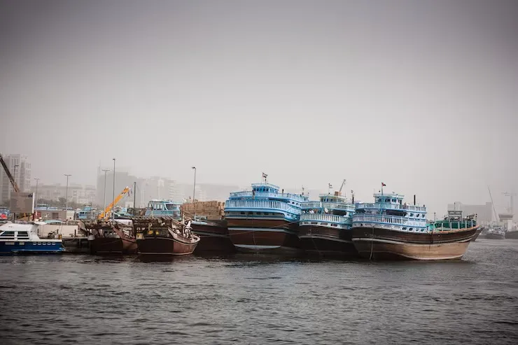 IAAI RORO Shipping Tips to Avoid Delays and Extra Costs Easily