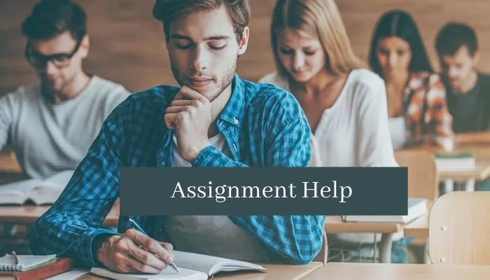 Assignment Writing Assistance for New International Students