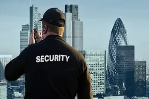 Why Selecting Established Security Companies Matters for Business Owners