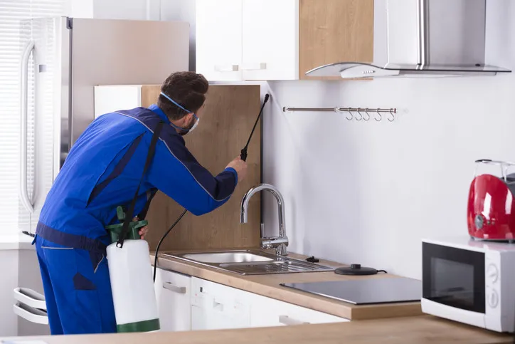 When Is Residential Pest Control Necessary? Signs Homeowners Shouldn’t Ignore