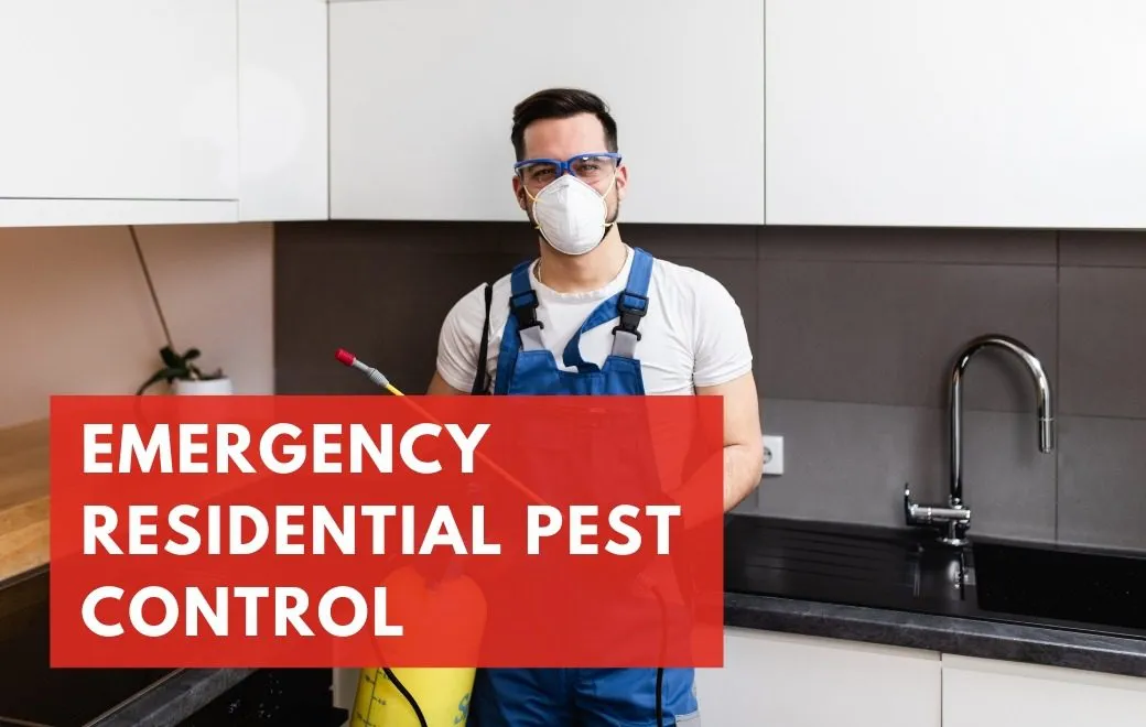 Buzz Boss pest control