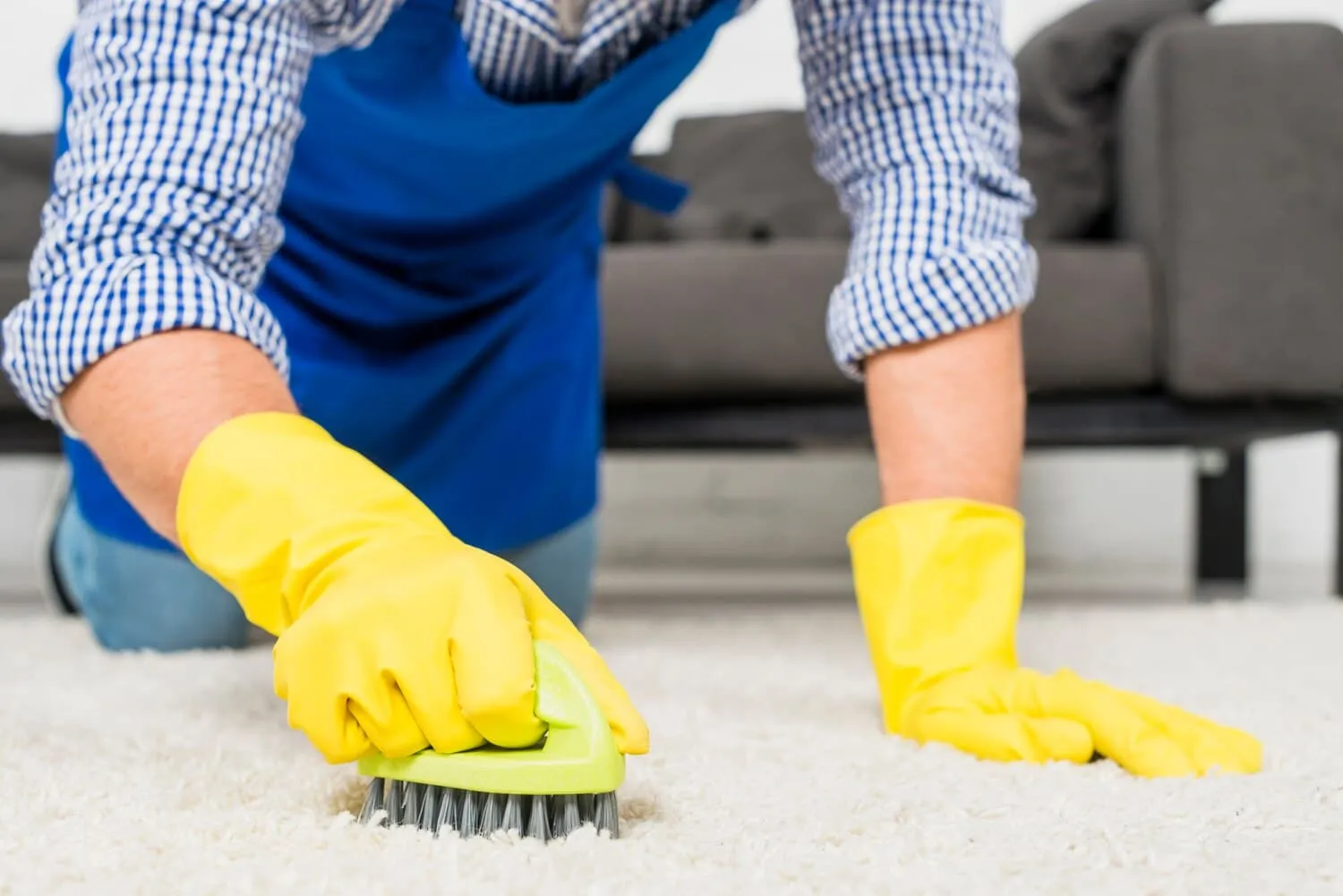 Effective Solutions for Pet Stain and Odor Removal in Myrtle Beach Homes