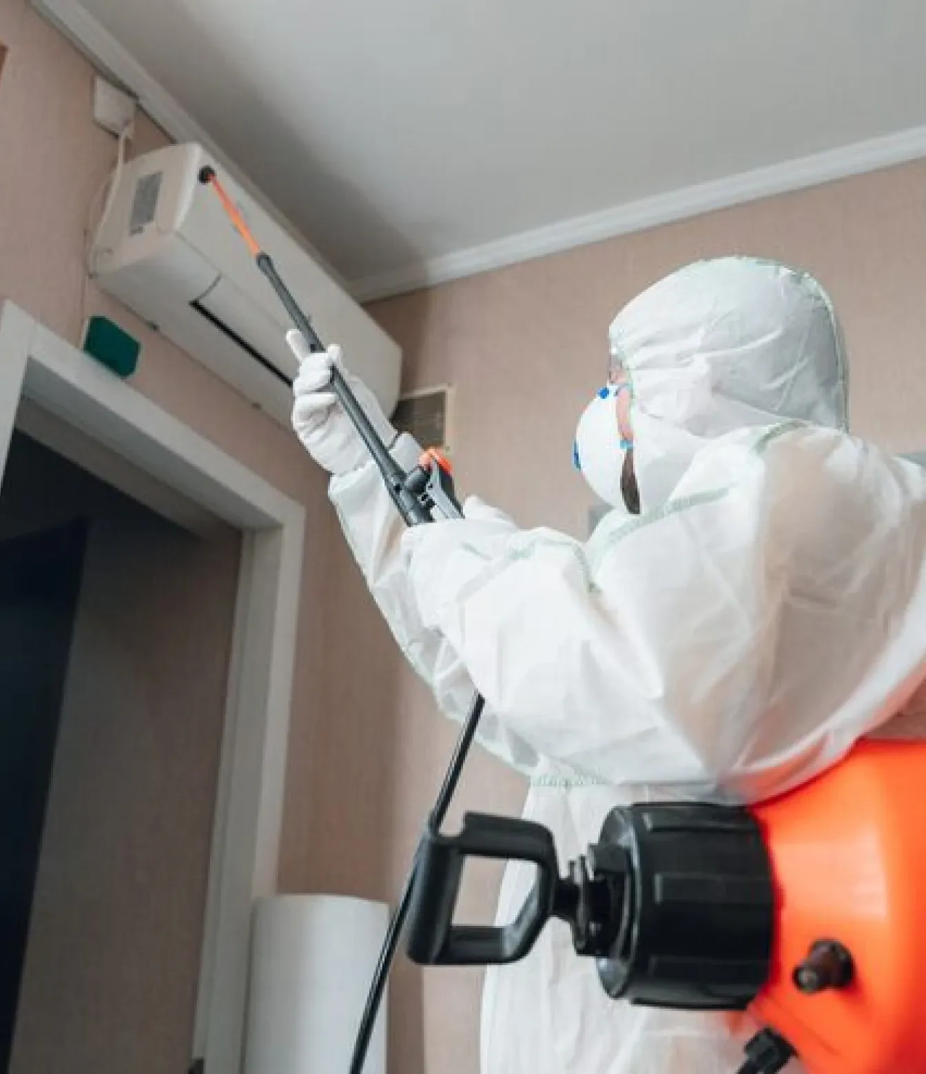 Complete Home Mold Prevention Guide: How Cincinnati Homeowners Can Reduce Moisture, Prevent Mold, and Protect Indoor Spaces