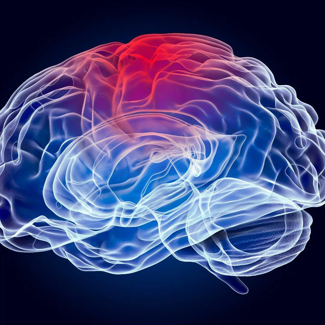 Traumatic Brain Injury Animation: Making Complex Medical Evidence Easier to Understand