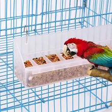 A Practical Guide to Pet Supplies Plus Everyday Essentials