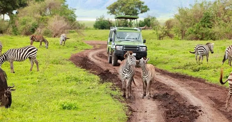 11 Days Remote Tanzania Safari | Katavi, Ruaha & Nyerere