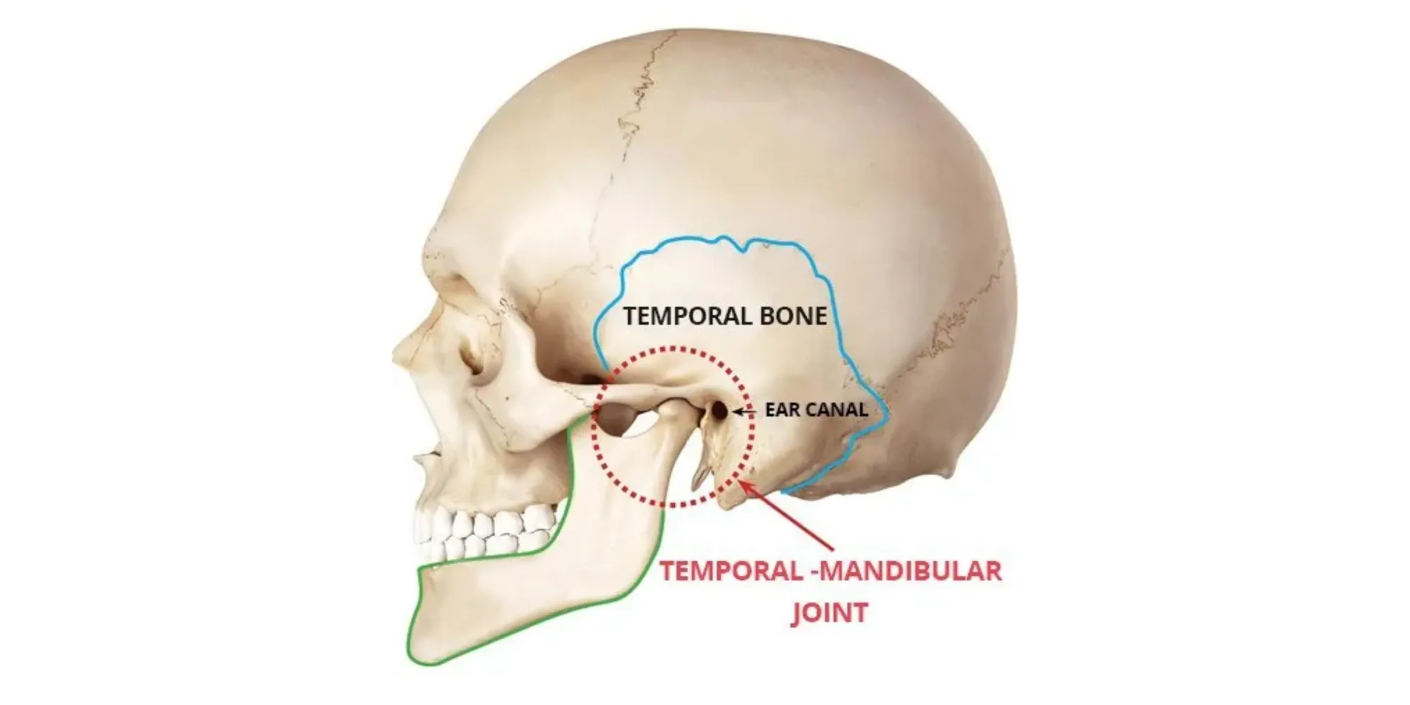 How Much Is TMJ Surgery? Understanding the Factors That Affect Treatment