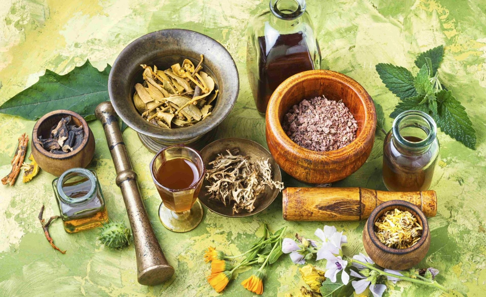 Ayurvedic Brain Syrup Ingredients: Understanding Their Properties and Benefits