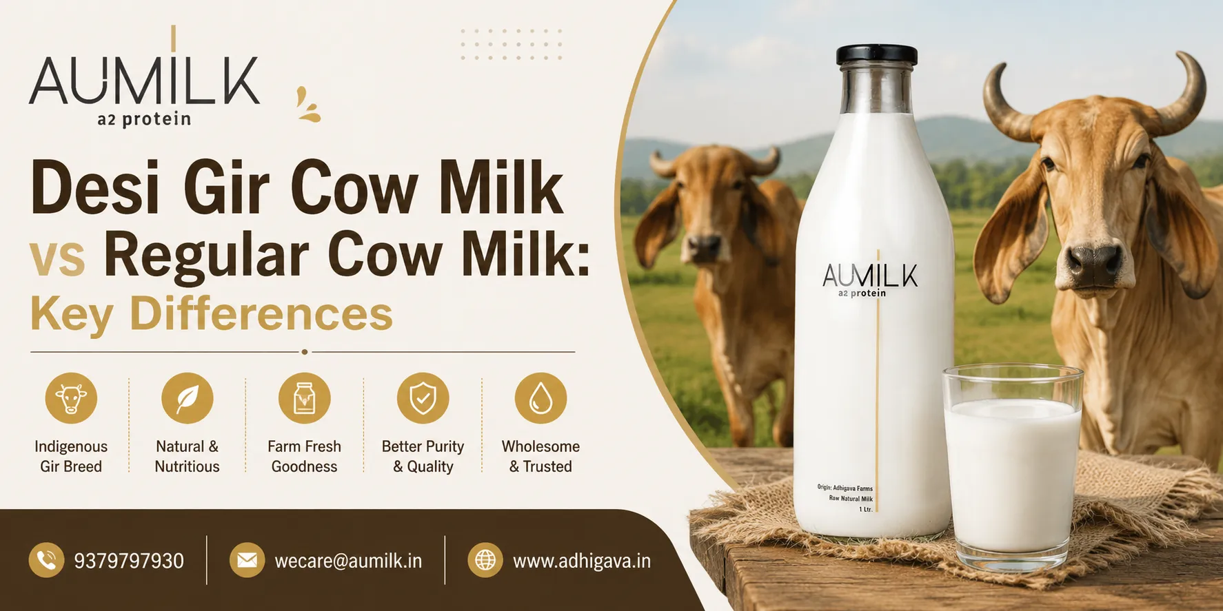 Desi Gir Cow Milk vs Regular Cow Milk: Key Differences