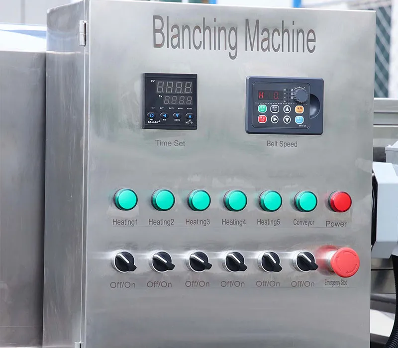 Industrial Blanching Machine for High-Volume Processing