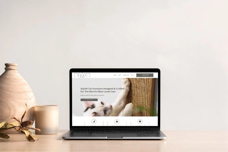 Revolutionizing Digital Presence: The Rise of Web Design Companies in Sydney