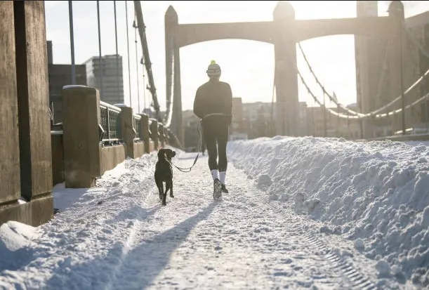 How Minnesota Weather Changes Dog Walking Time by Breed and Season