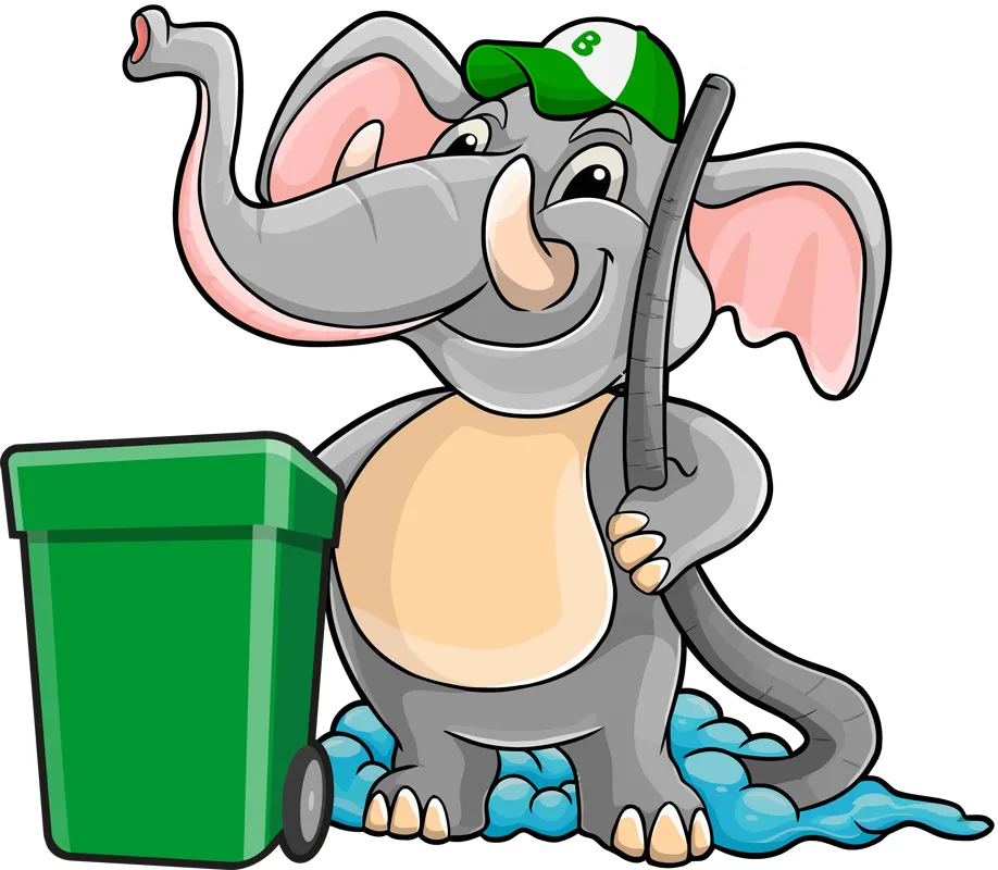 Trusted Trash Bin Cleaner Solutions for Cleaner, Healthier Homes