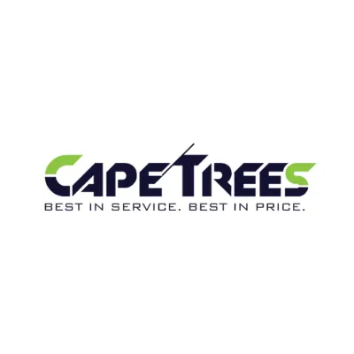 What to Do When a Tree Falls or Becomes Dangerous on Your Property