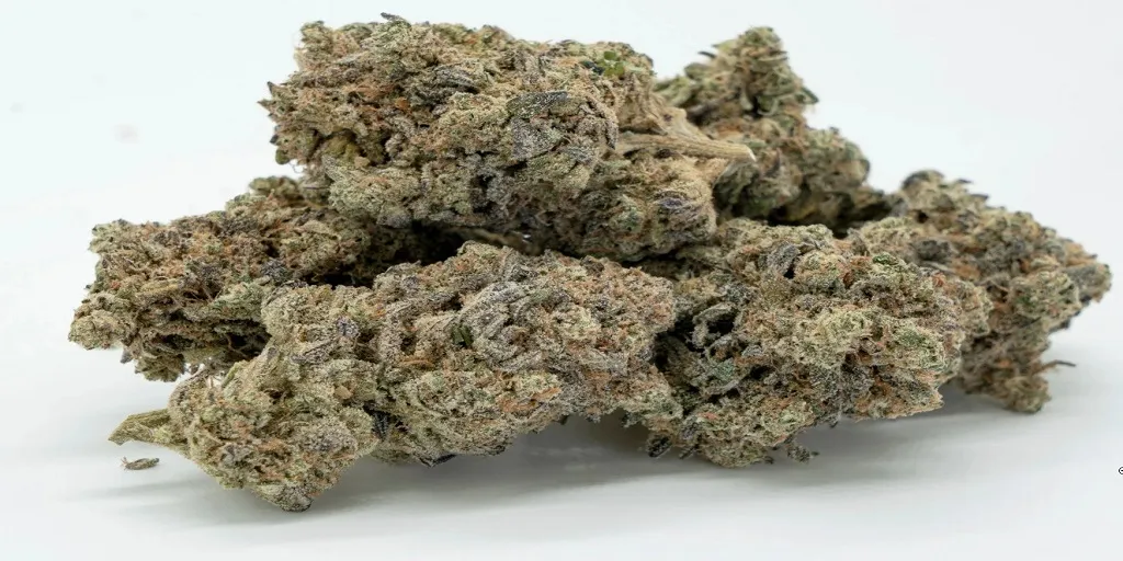 The Best Way To Keep Cannabis Fresh in Transit