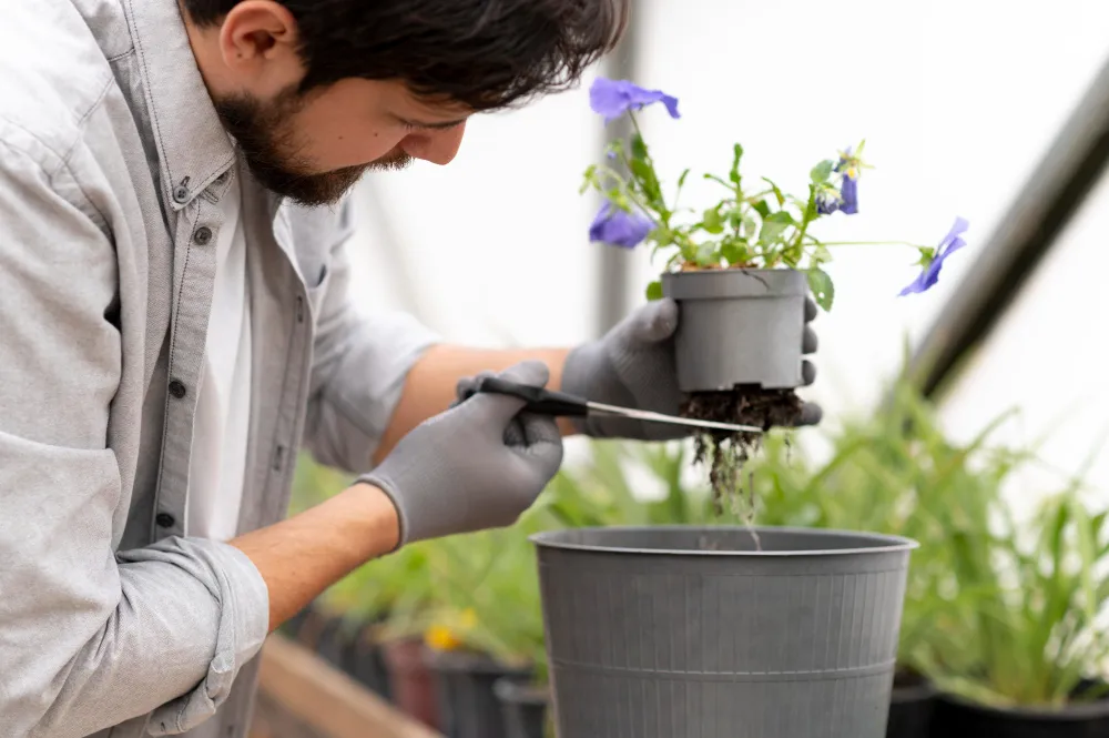 Easy Gardening for Beginners in India with Simple Plant Care Tips