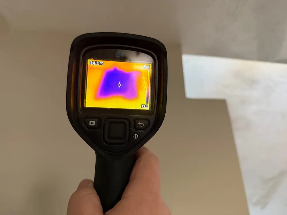 How Advanced Mold Inspection Louisville KY Detects Hidden Mold More Effectively