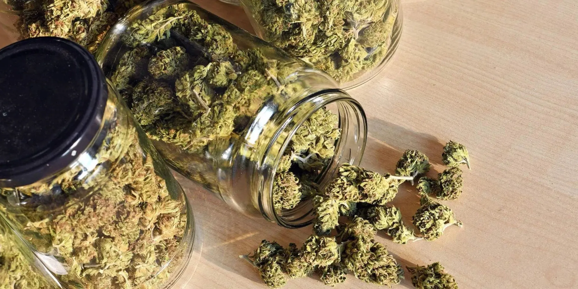 4 Ounce Weed for Sale: Is Buying in Bulk Actually Worth It?
