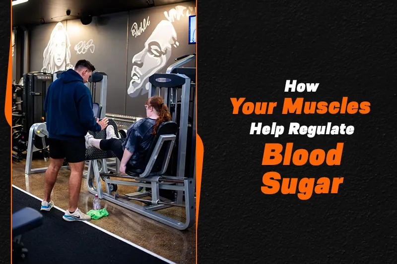 How Your Muscles Help Regulate Blood Sugar