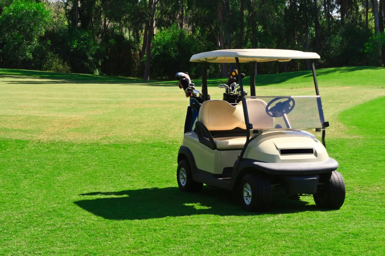 golf cart batteries for sale