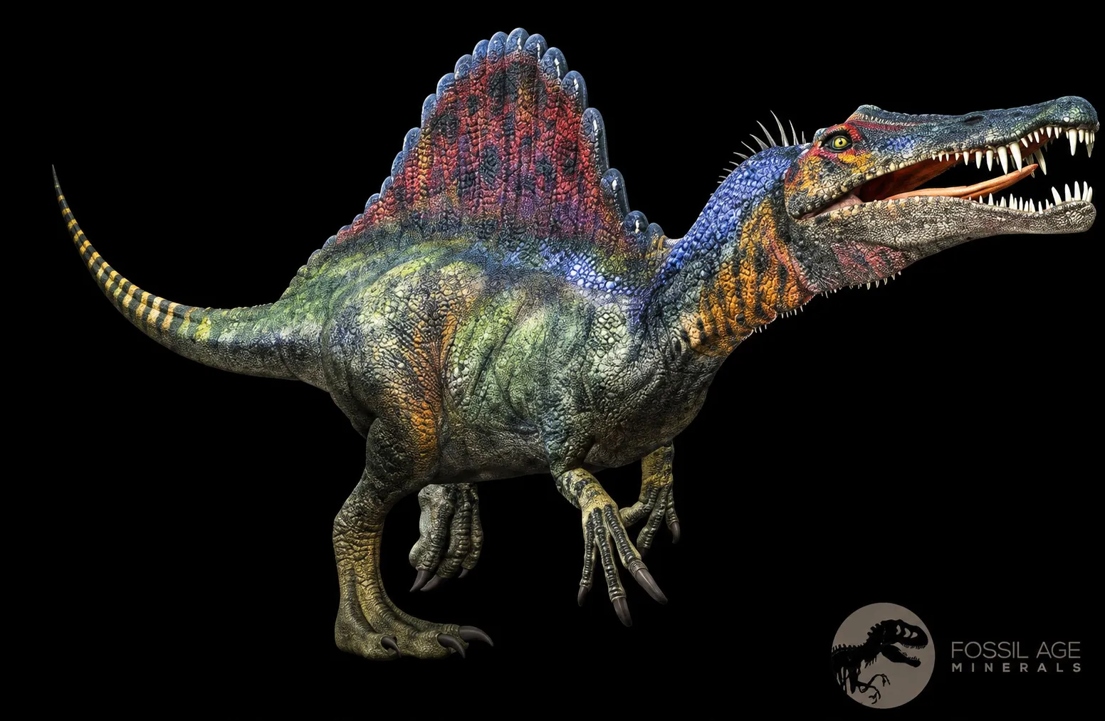 A Closer Look at Spinosaurus Spine for Sale Pricing and Value