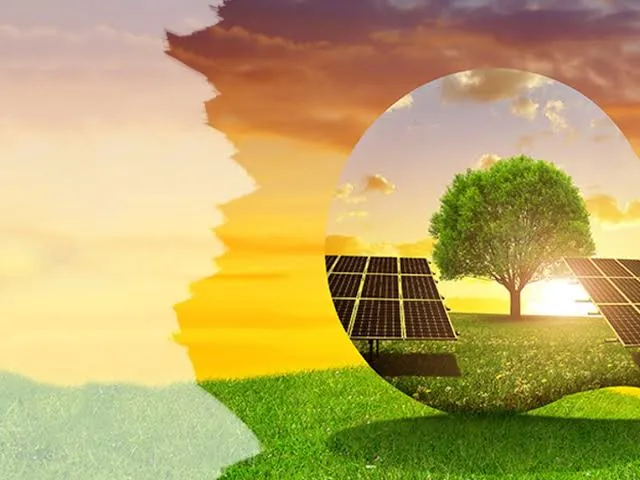 Independent Power Producers in India vs Captive Solar: Which Model Works Better for Industries?