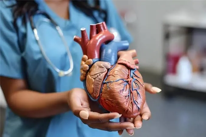 How Regular Heart Screenings Can Help Prevent Cardiac Emergencies