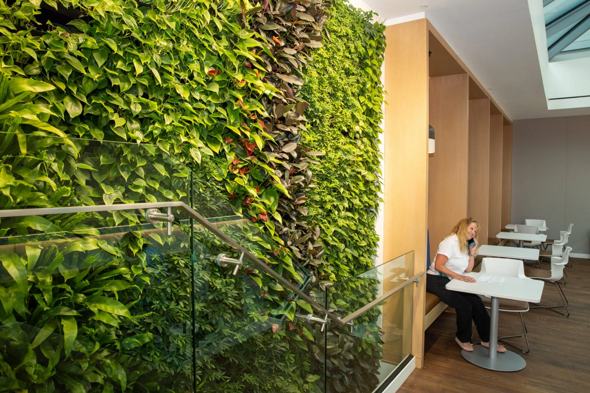 A Guide to Incorporating Office Plants DC Into Workplace Design