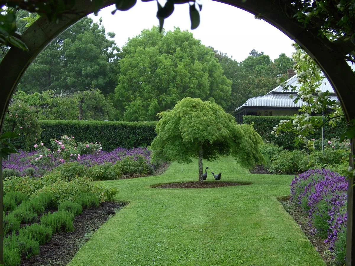 From Overgrown to Outstanding: Your Bowral and Moss Vale Garden Guide