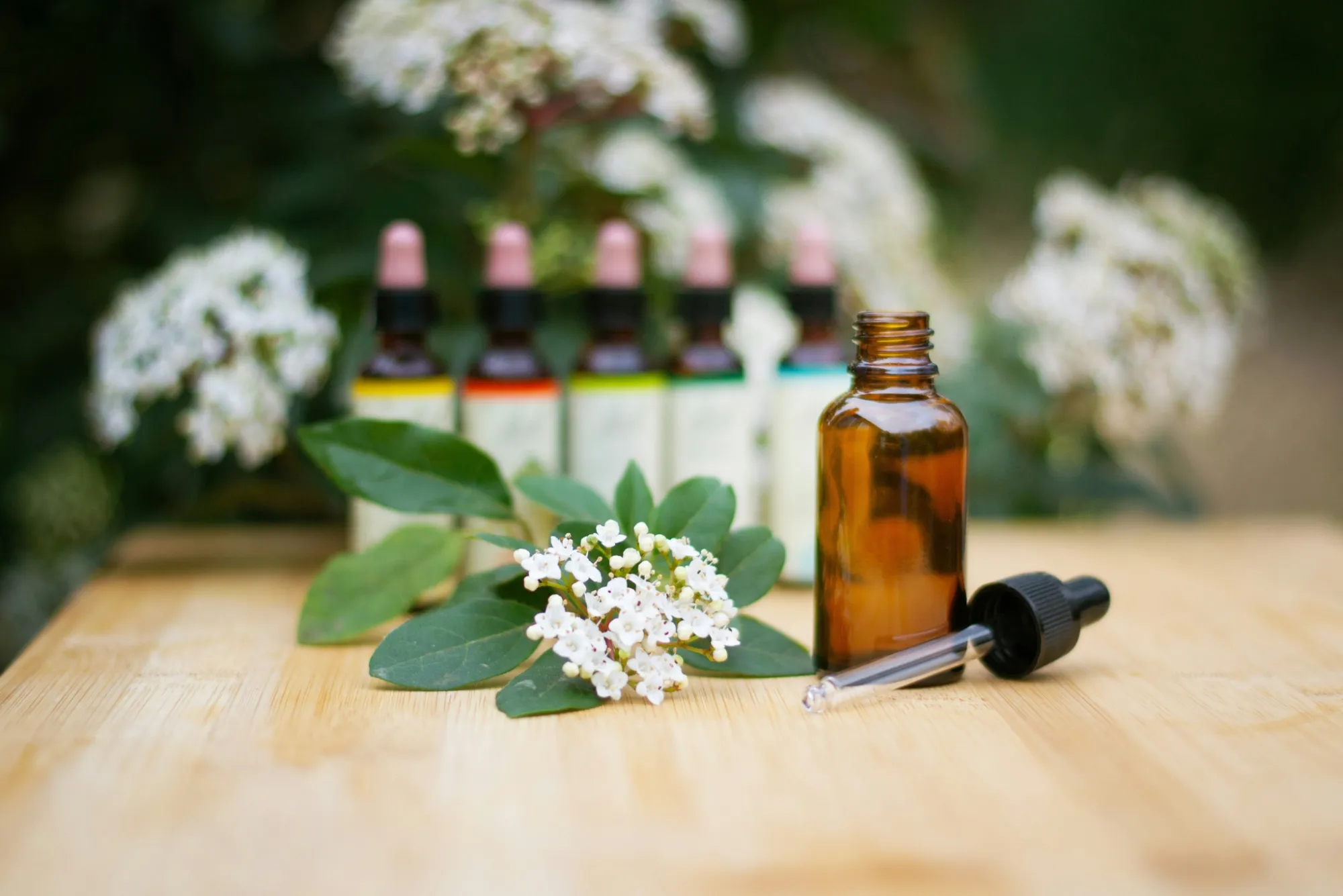 How Classical Homeopathy Works