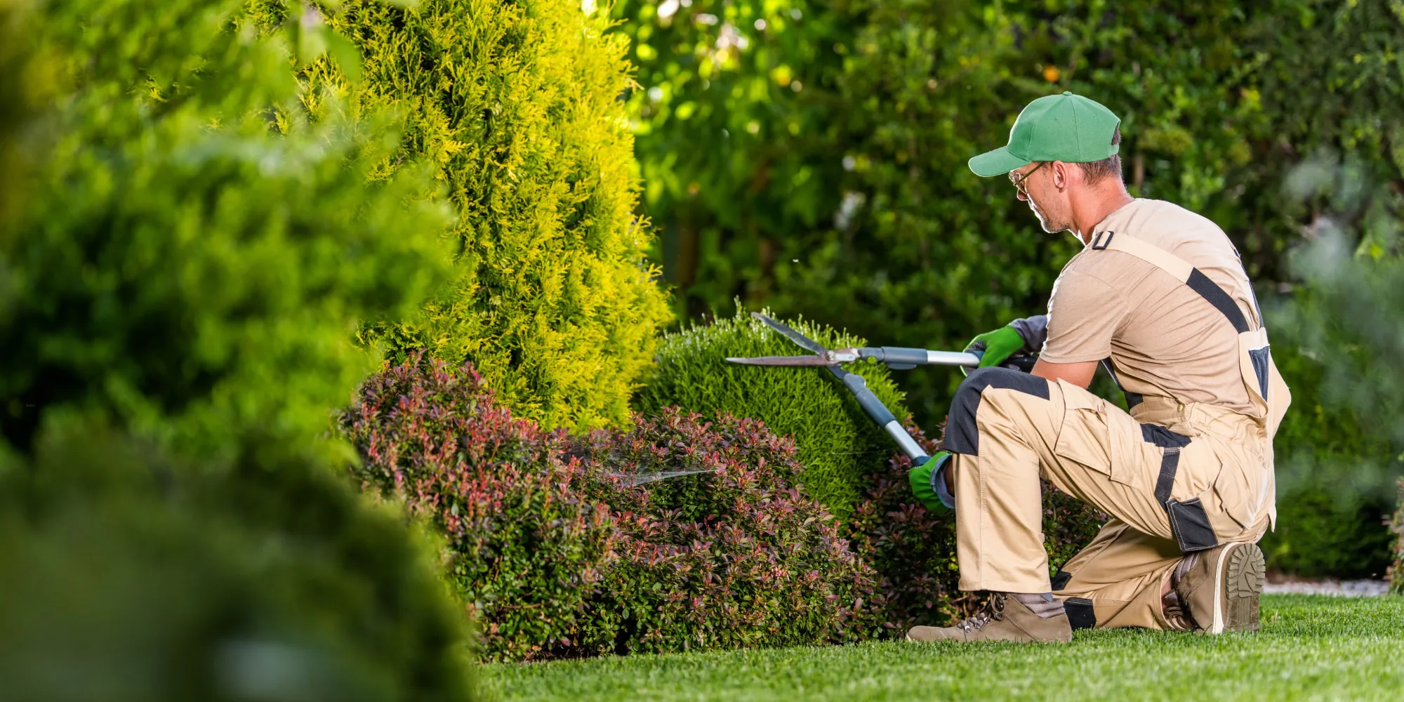 Landscaping in Omaha, Nebraska: What Homeowners Should Know Before Hiring a Pro