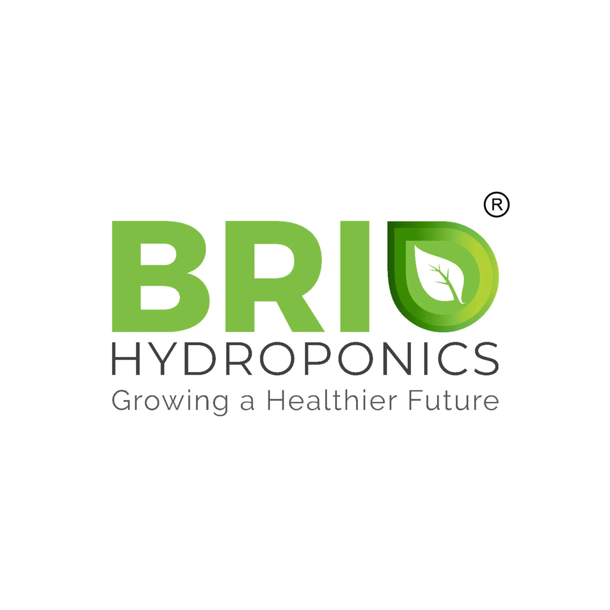 Modern Farming Solutions: Building a More Efficient Agricultural Future