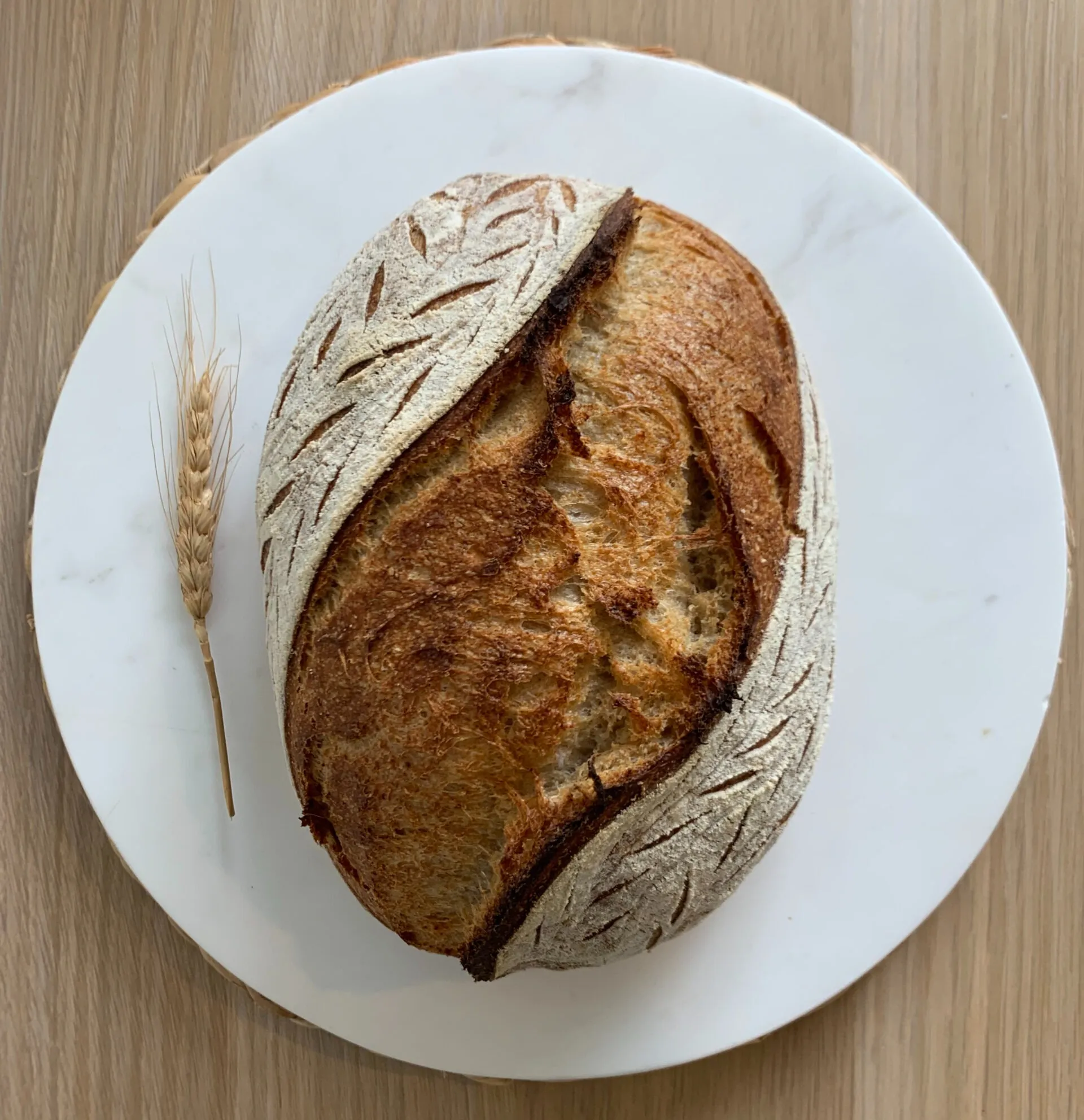 Where to Buy Sourdough Bread Starter