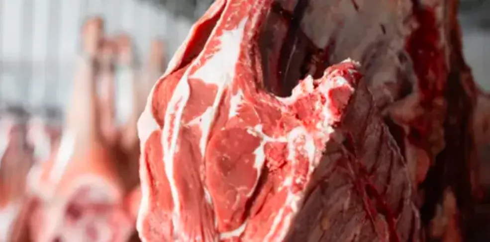 What to Expect From a Custom Butcher in Bloomington, IL