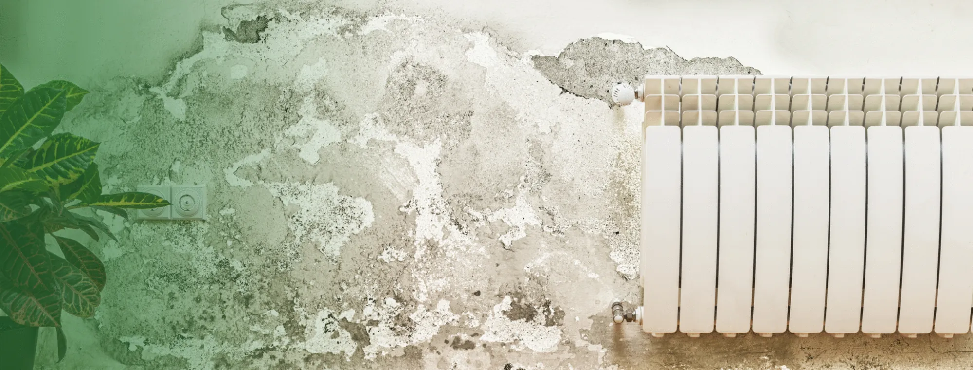 How Does a Household Ventilation System Fix Persistent Condensation Without Opening Every Window?