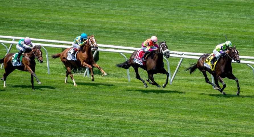 How Can a Horse Racing Betting Calculator Help You Make Smarter Betting Decisions?