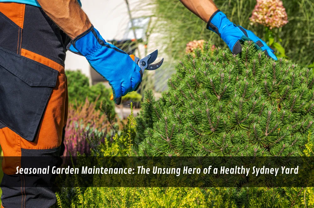 Seasonal Garden Maintenance: The Unsung Hero of a Healthy Sydney Yard