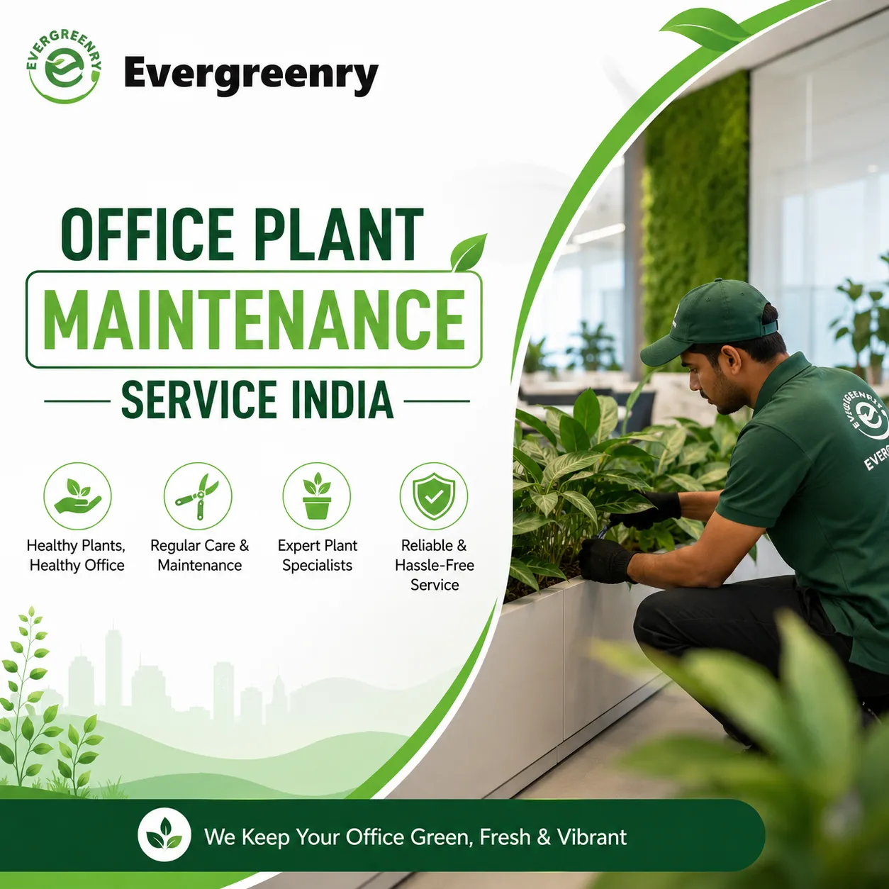 The Real Work Behind Healthy Office Plants in India