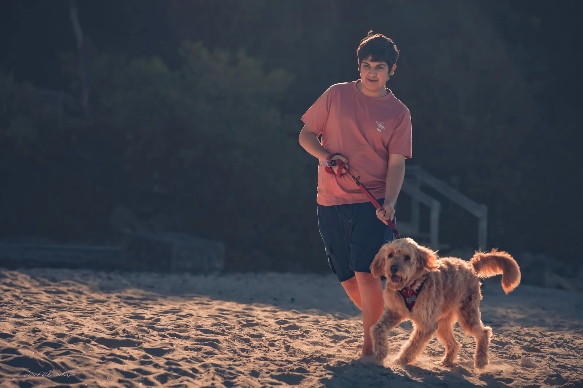 Pet-Friendly Family Photography Perth: How to Get Your Dog in the Photos Too