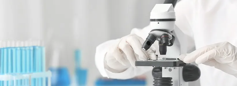 Rapid Testing